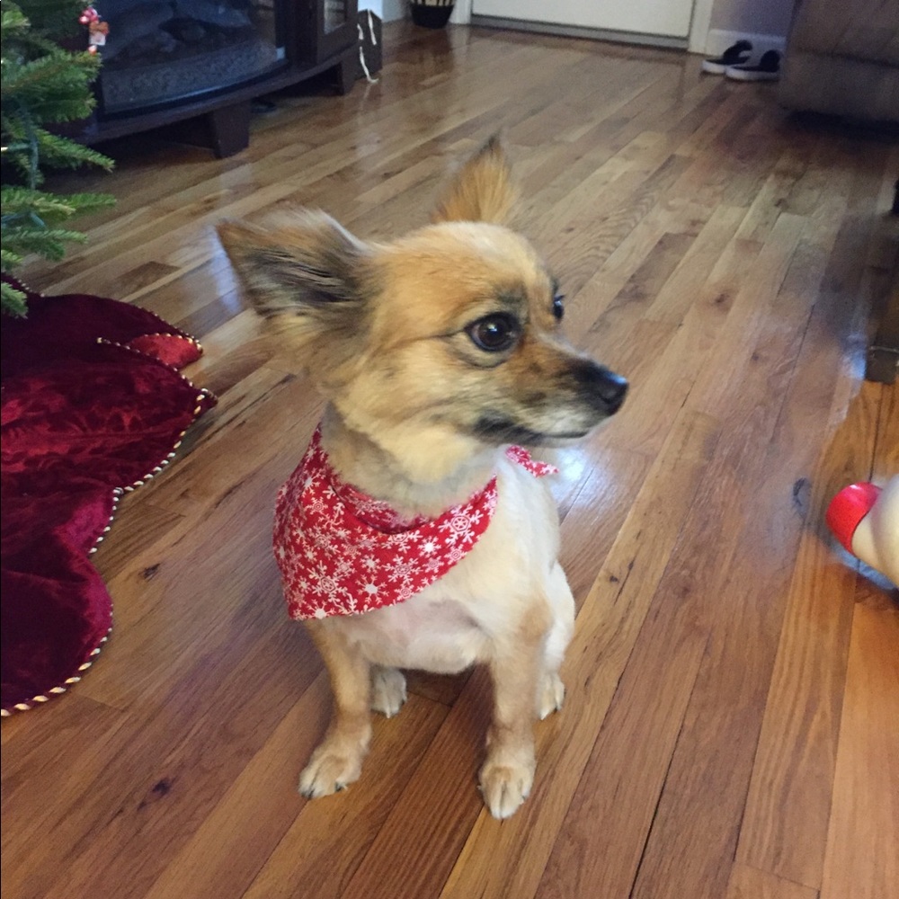 Meet your Posher, Lisa